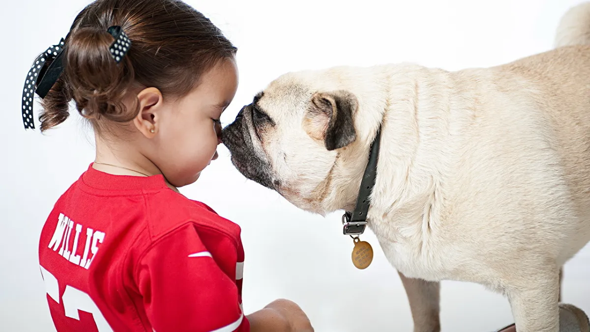 Top 10 Dog Breeds for Families With Kids