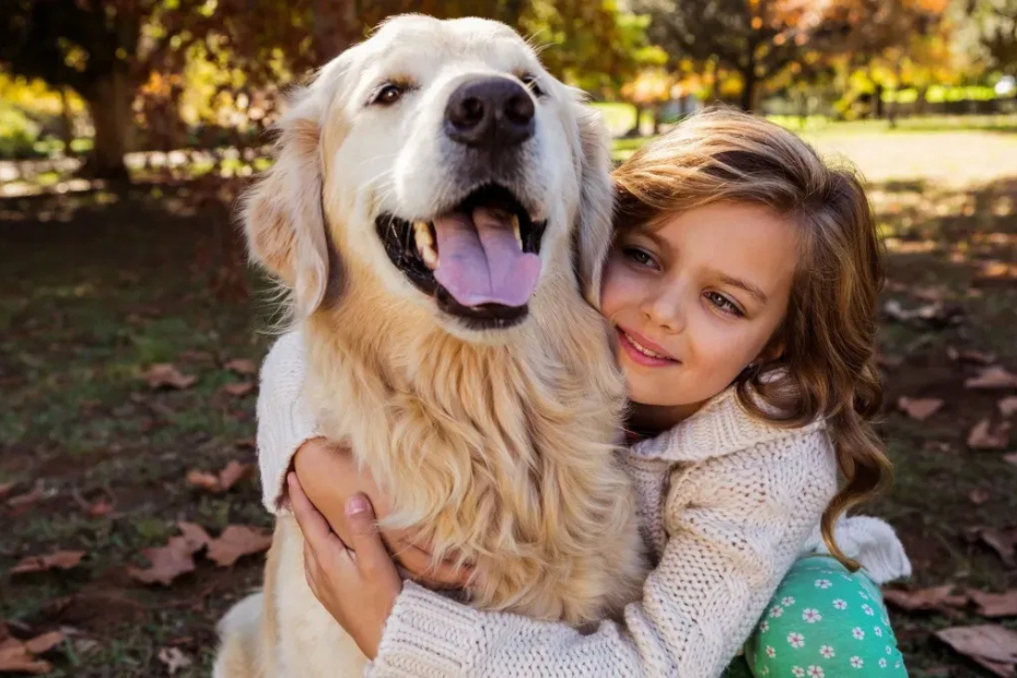 10 Best Emotional Support Dog Breeds