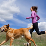 10 Best Dog Breeds for Runners