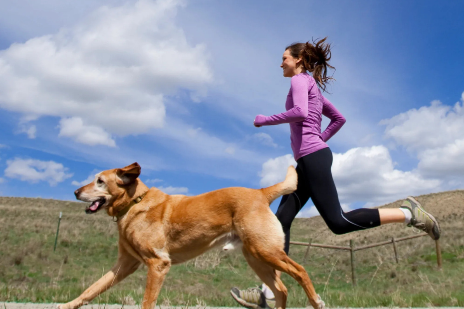 10 Best Dog Breeds for Runners