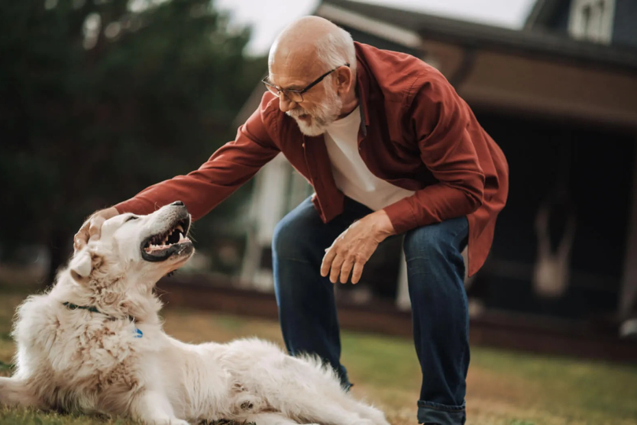 10 Best Dogs for Seniors