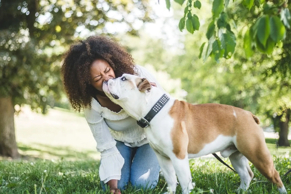 14 Calm Dog Breeds with Easygoing Personalities