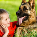 10 Best Family Guard Dogs Who Are Naturally Protective