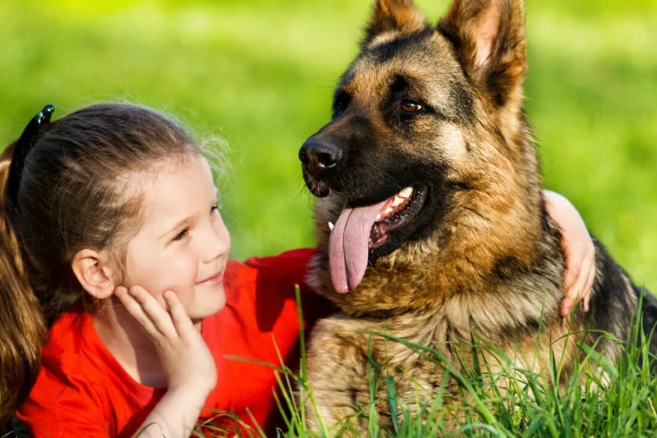 10 Best Family Guard Dogs Who Are Naturally Protective