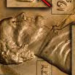 8 Valuable Lincoln Penny Errors Worth Money